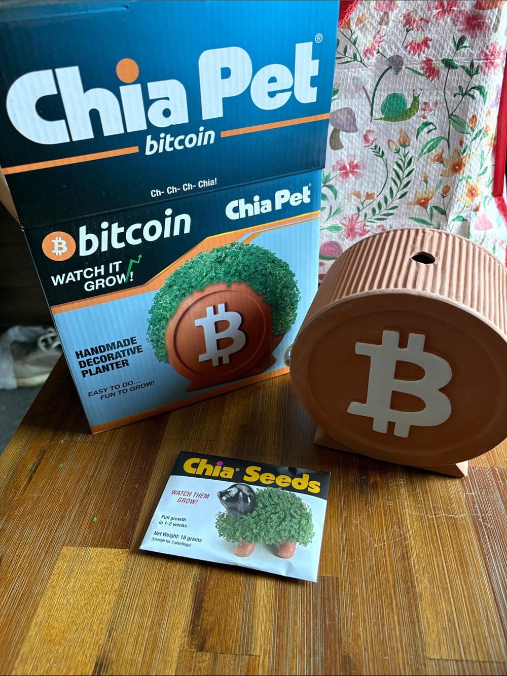 Chia Pet Bitcoin Decorative Planter in Terracotta